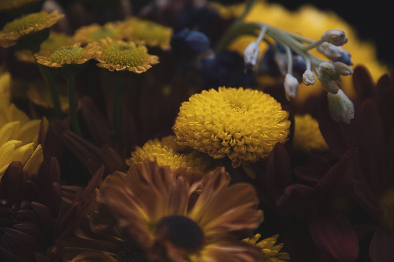 Herbst-Gartendeko im Pinterest-Stil